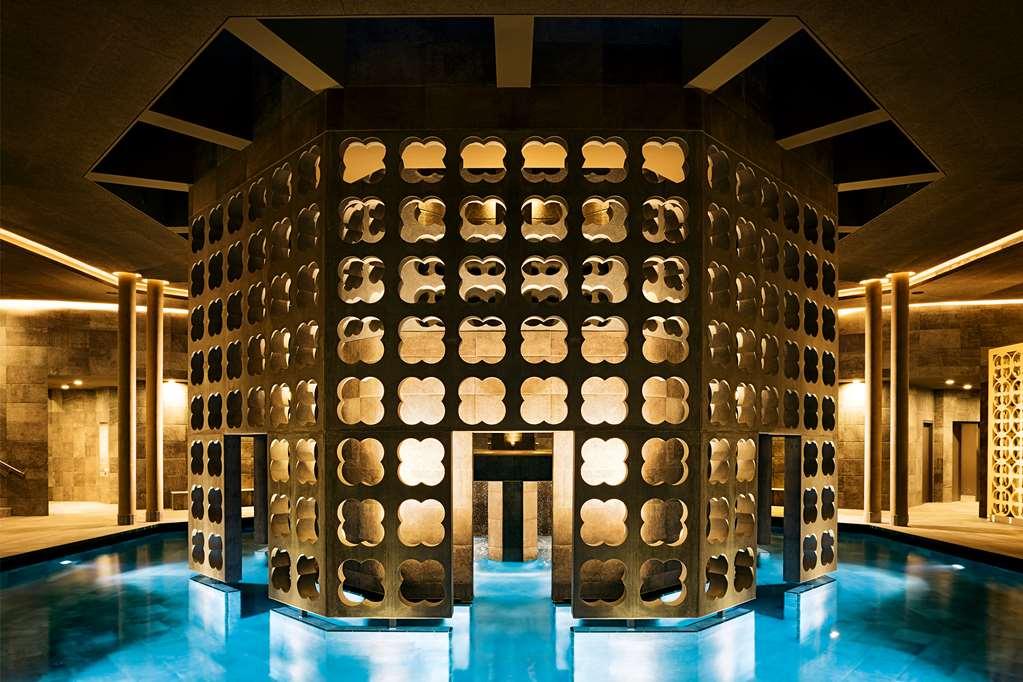 Therme Laa - Hotel & Silent Spa Laa an der Thaya Faciliteter billede